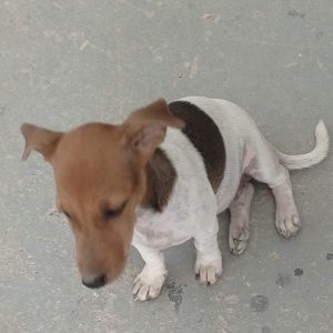 Ψάχνουμε τη Μαλού - Βοηθήστε να τη βρούμε