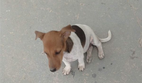 Ψάχνουμε τη Μαλού - Βοηθήστε να τη βρούμε