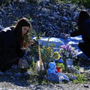 Νέοι από ευρωπαϊκές χώρες φρόντισαν τις 57 ελιές στο σημείο της τραγωδίας των Τεμπών