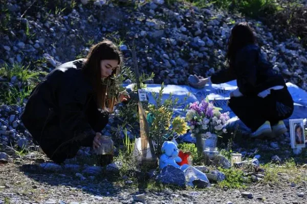 Νέοι από ευρωπαϊκές χώρες φρόντισαν τις 57 ελιές στο σημείο της τραγωδίας των Τεμπών