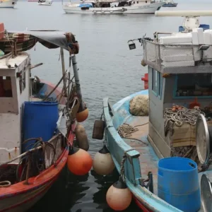 «Είχε 10 μποφόρ, παραλίγο να είχα πνιγεί»: Ψαράς κινδύνευσε για να σώσει τη βάρκα του στην Αστυπάλαια