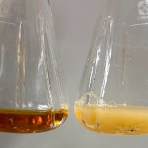 Επιστήμονες δημιούργησαν ενώσεις με αντικαρκινικές και αντιφλεγμονώδεις ιδιότητες από βακτήρια E.coli