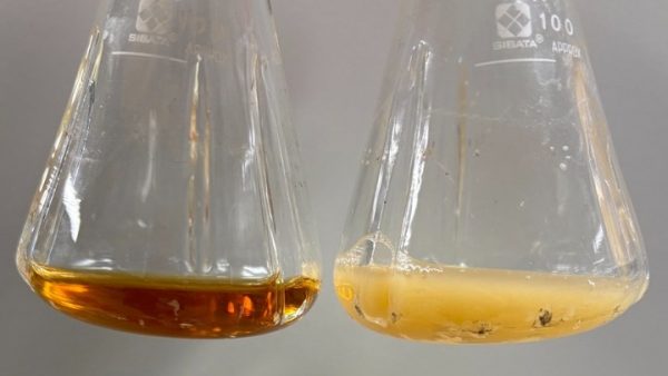 Επιστήμονες δημιούργησαν ενώσεις με αντικαρκινικές και αντιφλεγμονώδεις ιδιότητες από βακτήρια E.coli