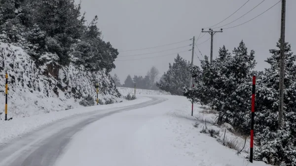 Τραγωδία στις γαλλικές Άλπεις: Τρεις σκιέρ σκοτώθηκαν από χιονοστιβάδα