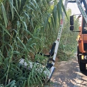 Περιφέρεια Στερεάς: Χρηματοδότηση έργων πρασίνου & οδικής ασφάλειας σε Εύβοια και Φωκίδα