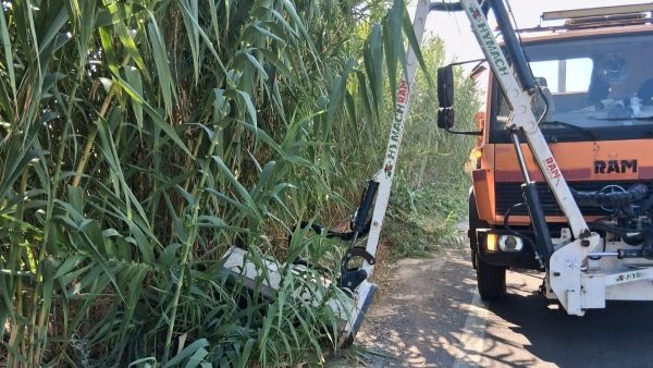 Περιφέρεια Στερεάς: Χρηματοδότηση έργων πρασίνου & οδικής ασφάλειας σε Εύβοια και Φωκίδα