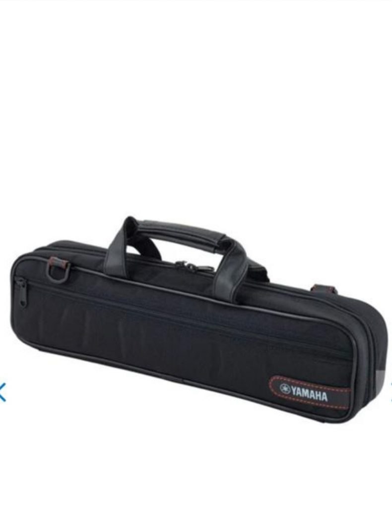 Χάθηκε φλάουτο σε αστικό λεωφορείο