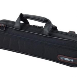 Χάθηκε φλάουτο σε αστικό λεωφορείο