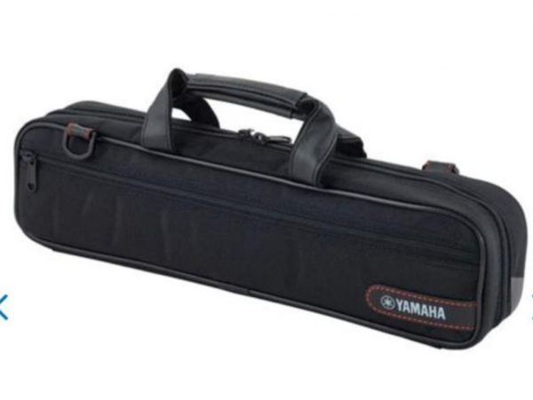 Χάθηκε φλάουτο σε αστικό λεωφορείο