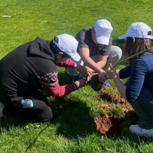 Δράσεις δεντροφύτευσης και φέτος από το Δήμο Λοκρών (ΦΩΤΟ)