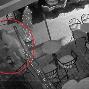 Διαρρήκτης στο Αγρίνιο σκαρφάλωνε σε τέντα για να μπει σε κατάστημα - Καρέ καρέ η δράση του