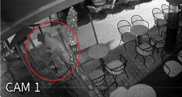 Διαρρήκτης στο Αγρίνιο σκαρφάλωνε σε τέντα για να μπει σε κατάστημα - Καρέ καρέ η δράση του