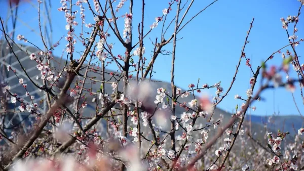 Εαρινή ισημερία 2026: Σήμερα μπαίνει και επίσημα η άνοιξη στο βόρειο ημισφαίριο