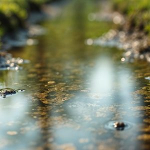 Ζητούνται εργάτες από τον Τ.Ο.Ε.Β. Ανθήλης