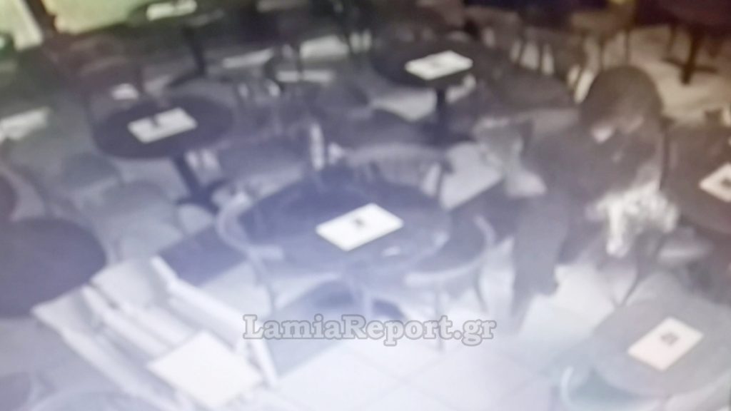 Λαμία: Η κάμερα κατέγραψε τους «ποντικούς» που μπήκαν στα μαγαζιά - Δείτε βίντεο