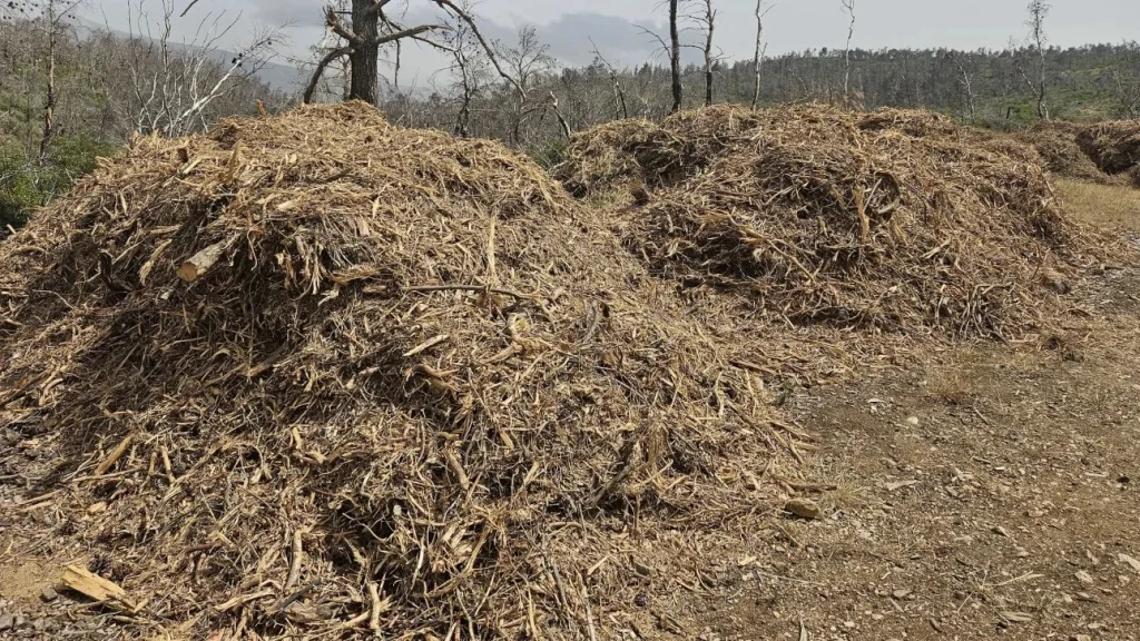 Δήμος Λοκρών: «Καθαρισμός οικοπέδων για την αποφυγή πρόκλησης πυρκαγιάς»