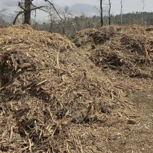 Δήμος Λοκρών: «Καθαρισμός οικοπέδων για την αποφυγή πρόκλησης πυρκαγιάς»