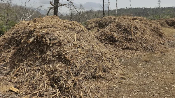 Δήμος Λοκρών: «Καθαρισμός οικοπέδων για την αποφυγή πρόκλησης πυρκαγιάς»