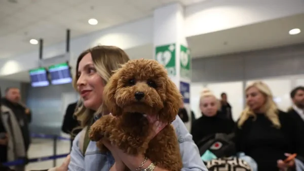 Επαναπατρίστηκαν άλλοι 101 Έλληνες με τα 47 κατοικίδια τους, με ειδική πτήση από τη Μέση Ανατολή