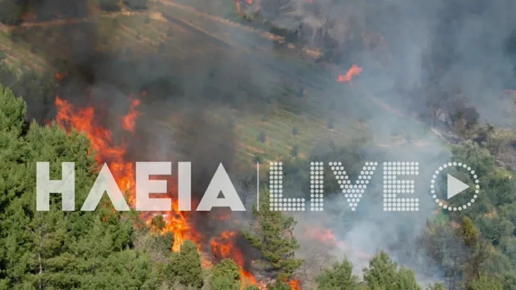 Φωτιά στην Ηλεία: Διπλό μέτωπο στην περιοχή Ελαιώνας
