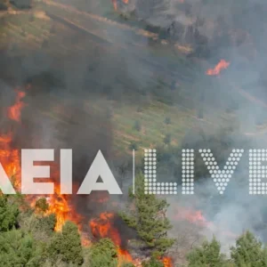 Φωτιά στην Ηλεία: Διπλό μέτωπο στην περιοχή Ελαιώνας