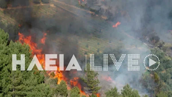 Φωτιά στην Ηλεία: Διπλό μέτωπο στην περιοχή Ελαιώνας