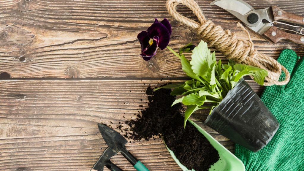 Πωλείται πλήρως εξοπλισμένη η επιχείρηση γεωργικών εφοδίων "Γεωγωνία" στα Γαλανέικα Λαμίας