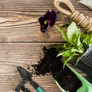 Πωλείται πλήρως εξοπλισμένη η επιχείρηση γεωργικών εφοδίων "Γεωγωνία" στα Γαλανέικα Λαμίας