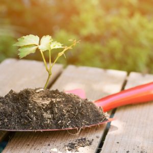 Πωλείται επιχείρηση πώλησης γεωργικών εφοδίων στον Δομοκό
