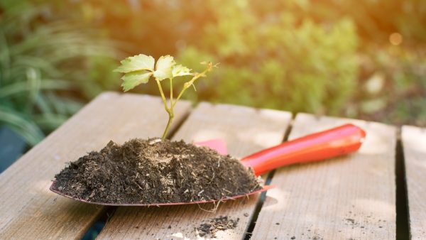 Πωλείται επιχείρηση πώλησης γεωργικών εφοδίων στον Δομοκό