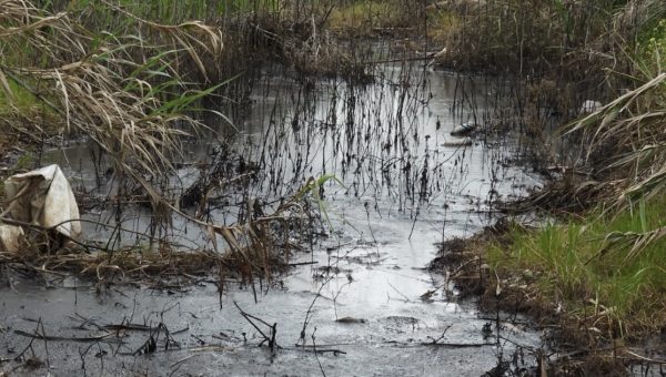 «Η Σκάλα Αταλάντης δεν είναι χωματερή κανενός» - Την παρέμβαση του Εισαγγελέα ζητούν οι κάτοικοι για τα απόβλητα από τα λιοτρίβια