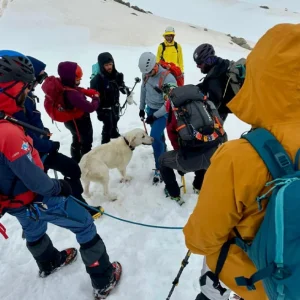 Σκύλος επέζησε 9 μέρες σε υψόμετρο 1.900 μ. στο Μέτσοβο, τον εντόπισαν τυχαία ορειβάτες και τον επέστρεψαν στον ιδιοκτήτη του, δείτε βίντεο