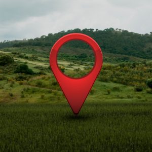 Πωλούνται ή ενοικιάζονται μαζί ή και χωριστά: κατοικία, δύο αίθουσες, ελιές και αμπέλι στη Μακρακώμη