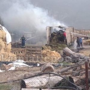 Φωκίδα: Λαμπάδιασε ποιμνιοστάσιο - Μεγάλες υλικές ζημιές