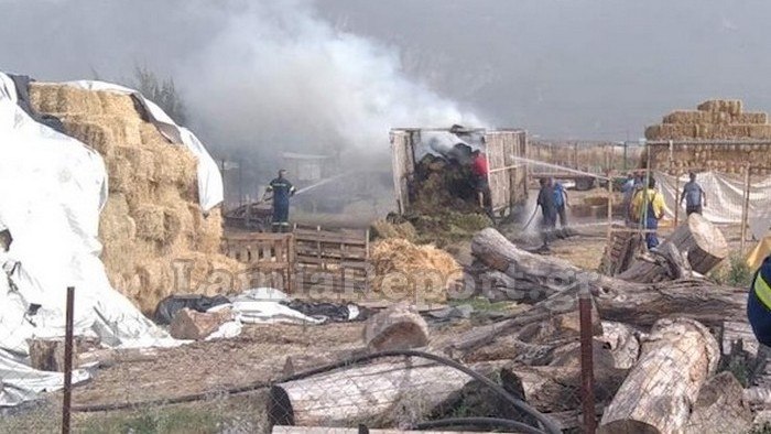 Φωκίδα: Λαμπάδιασε ποιμνιοστάσιο - Μεγάλες υλικές ζημιές