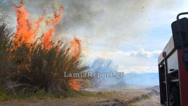 Βαρύ πρόστιμο στη Λαμία για άναμμα φωτιάς σε χόρτα