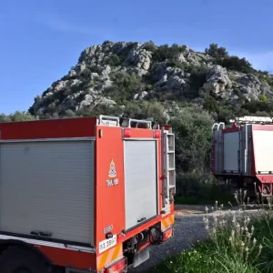 Φωτιά σε αγροτοδασική έκσταση στην Κεφαλονιά – Μεγάλη κινητοποίηση της πυροσβεστικής