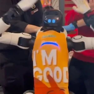 Ρομπότ μεράκλωσε σε εστιατόριο, άρχισε να χορεύει και πέταγε choptsticks - Δεν μπορούσαν να το κουμαντάρουν! (ΒΙΝΤΕΟ)