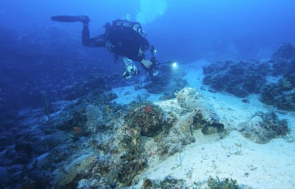 Ιδρύονται δύο νέοι ενάλιοι αρχαιολογικοί χώροι - Επισκέψιμοι, με φωτοσήμανση και καθορισμένες καταδυτικές διαδρομές