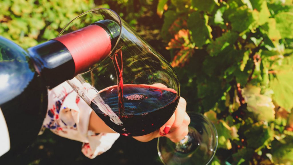 To οινοποιείο "Ευάμπελος Γη" στον Δομοκό αναζητά προσωπικό