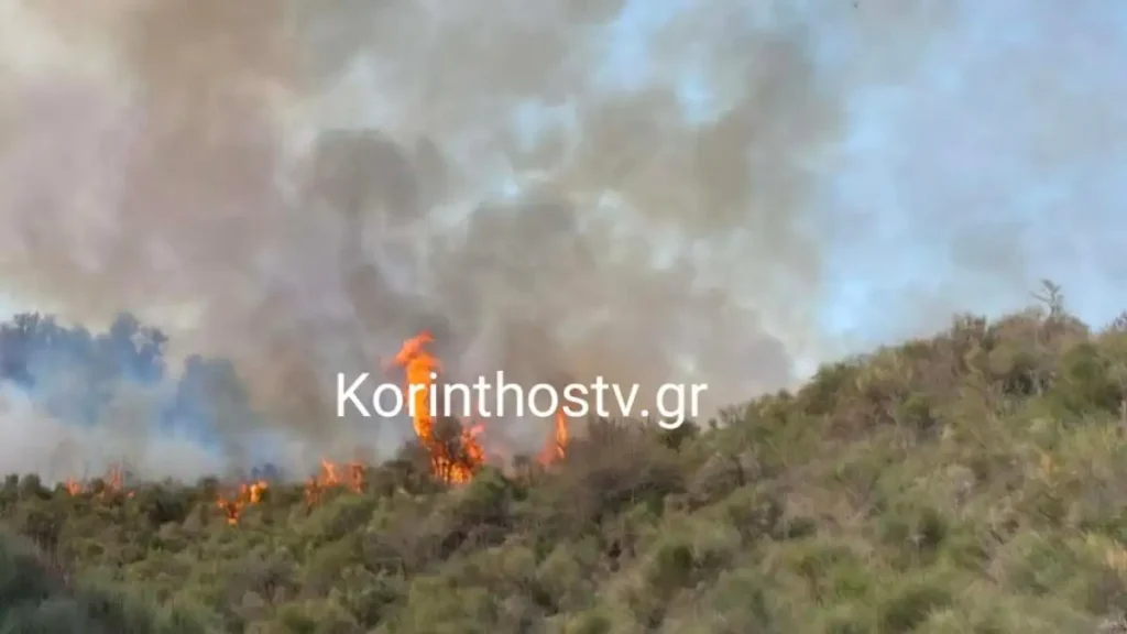 Φωτιά στα Σοφιανά Κορινθίας – Ισχυρές δυνάμεις στο σημείο