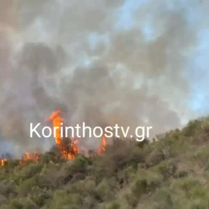 Φωτιά στα Σοφιανά Κορινθίας – Ισχυρές δυνάμεις στο σημείο