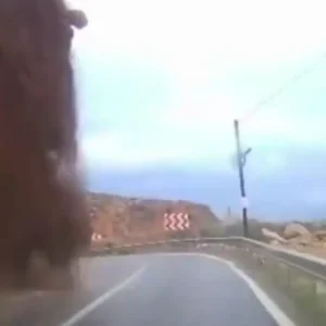 Τουρκία: Η στιγμή που τεράστια κατολίσθηση συνέτριψε αυτοκίνητο – Σώος ο οδηγός