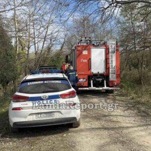 Τραγωδία στη Λαμία: Νεκρός 68χρονος που καταπλακώθηκε από δέντρο - Το τραγικό συμβάν έγινε μπροστά στα μάτια της γυναίκας του (ΒΙΝΤΕΟ-ΦΩΤΟ)
