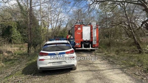 Τραγωδία: Νεκρός Λαμιώτης που καταπλακώθηκε από δέντρο - Το τραγικό συμβάν έγινε μπροστά στα μάτια της γυναίκας του (ΒΙΝΤΕΟ-ΦΩΤΟ)