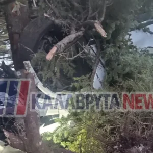 Αυτοκίνητο διαλύθηκε μετά από πρόσκρουση σε δέντρο στα Καλάβρυτα, σώθηκε η οδηγός, δείτε φωτογραφίες