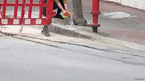 Λαμία: Την κατέγραψε ο φακός να ρίχνει επικίνδυνο υγρό για να ξεραθεί το δέντρο (ΦΩΤΟ)