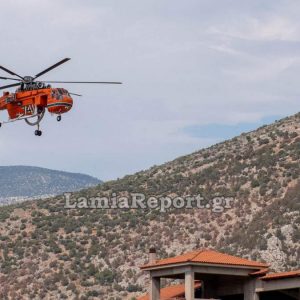 Μεγάλη κινητοποίηση για πυρκαγιά στη Βοιωτία - Στη μάχη τέσσερα εναέρια μέσα