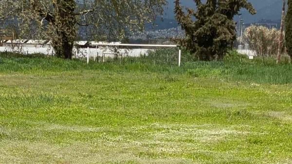 Το γήπεδο στην Ηράκλεια Λαμίας θέλει καθάρισμα - «45 χρόνια κάθε Πάσχα έχουμε αγώνα»