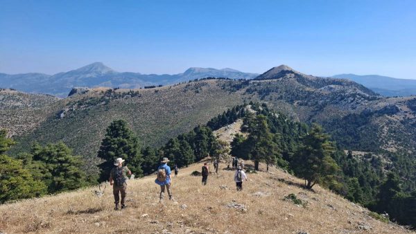Υπουργείο Πολιτισμού: Σημαντικά ευρήματα στην επιφανειακή έρευνα μεταξύ Ερέτριας και Αμαρύνθου